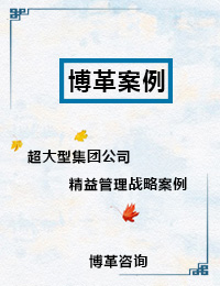 -超大型集團公司精益管理戰略-博革咨詢案例